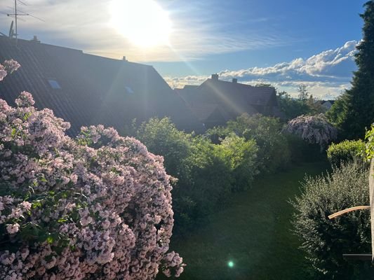 Gartensicht und Balkon 