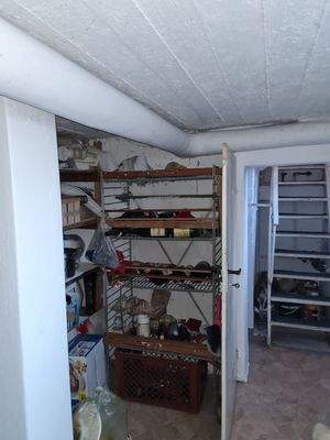 WhatsApp Image 2025-10-13 at 08.55.59 (7)