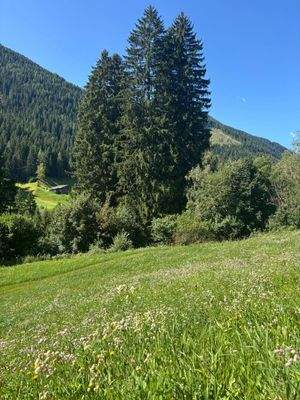 Ulten – Tourismus, Bauen und Gastronomie vereinen sich hier mit einzigartigen Chancen für neue Ideen und ein attraktives Baugrundstück – Ultimo, turismo, costruzioni e gastronomia si incontrano qui con opportunità uniche per nuove idee e un terreno edific