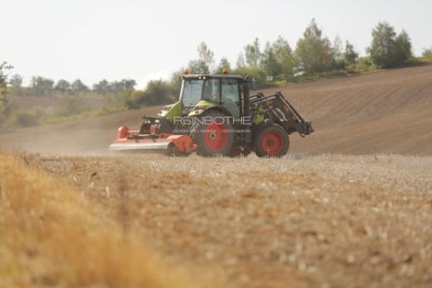 Raguhn-Jeßnitz Bauernhöfe, Landwirtschaft, Raguhn-Jeßnitz Forstwirtschaft