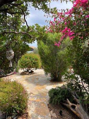 WhatsApp Bild 2025-10-05 um 19.52.30_d09ce200.jpg