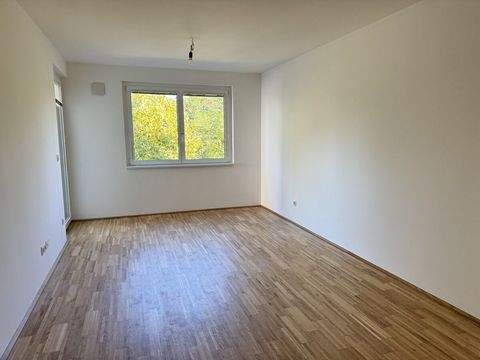 Wien Wohnungen, Wien Wohnung mieten