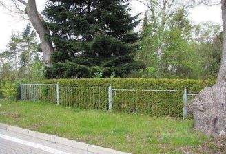 Blick auf das Grundstück