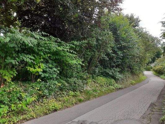 Seeuferstraße ( seitlich Grundstück-2 )