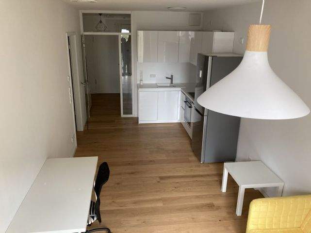 Wohnungssuche Frankfurt Am Main 2 Zimmer