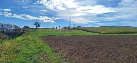 Spechach Grundstücke, Spechach Grundstück kaufen