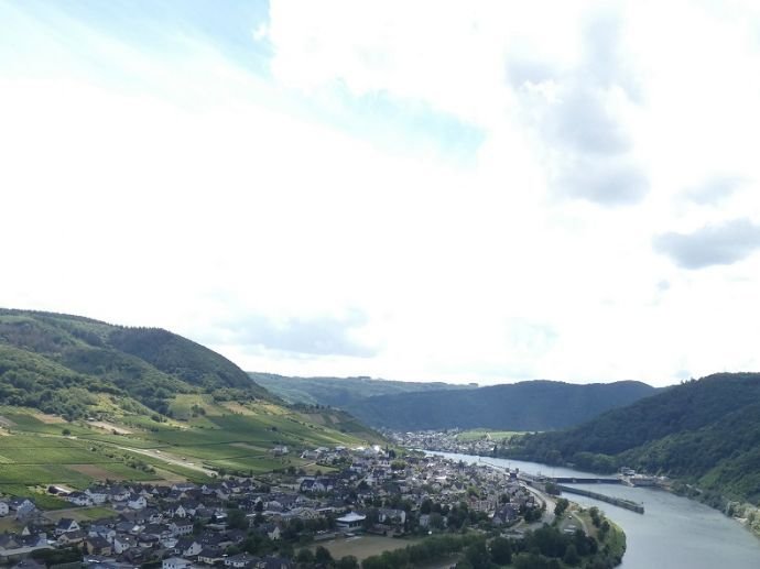 Bruttig-Fankel Grundstück 1064qm bewaldet, Hanglage oberhalb der Mosel zu verkaufen