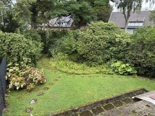 Blick in den Garten