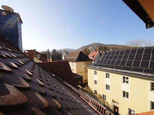 SPITZBODEN AUSBLICK - Bismarckturm / Tatzend
