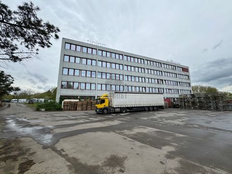 Bad Salzuflen Halle, Bad Salzuflen Hallenfläche
