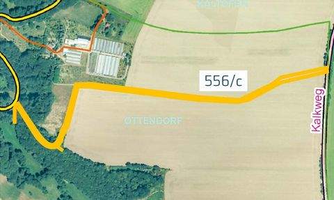 Hainichen Bauernhöfe, Landwirtschaft, Hainichen Forstwirtschaft