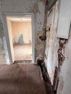 erste Sanierungsarbeiten bereits begonnen