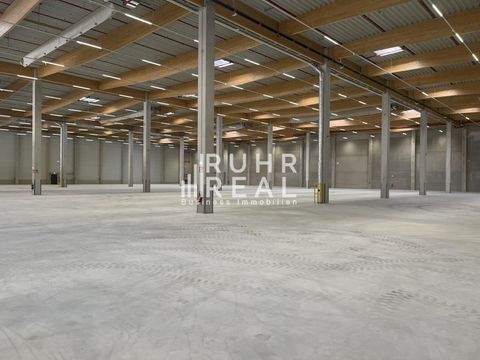 Bielefeld Halle, Bielefeld Hallenfläche