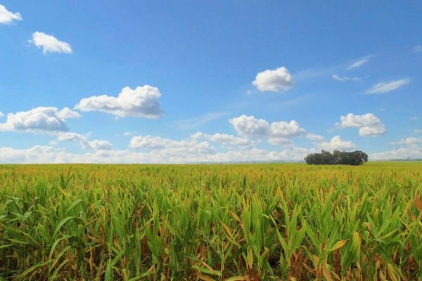 Unverbauter Blick in die Natur