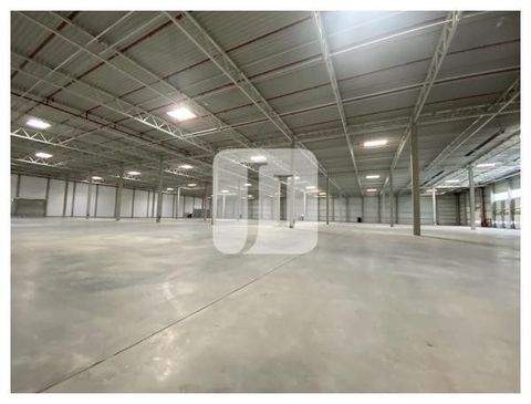 Pinneberg Halle, Pinneberg Hallenfläche