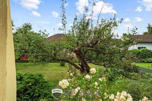 Bungalow 2304 Orth an der Donau