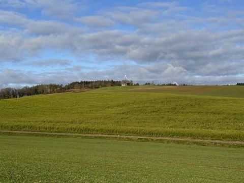 Weng-Moosberg Bauernhöfe, Landwirtschaft, Weng-Moosberg Forstwirtschaft