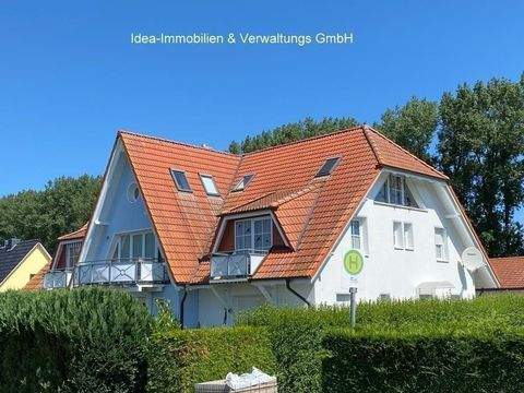 Altenpleen Wohnungen, Altenpleen Wohnung mieten