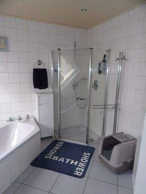 OG- Badezimmer II