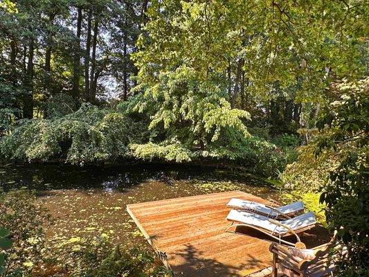 Entspannung am Teich