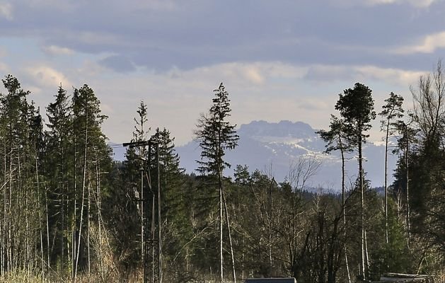 Ausblick