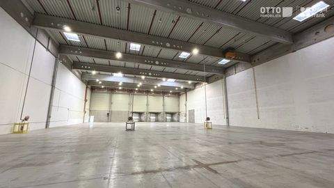 Senec Halle, Senec Hallenfläche