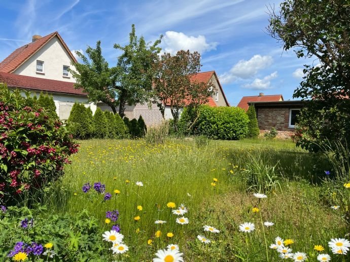 Frühjahrsaktion bis 30.05.2023: 295.000 € provisionsfrei  - Wohnhaus mit schönem Grundstück in der Hafenstadt Barth