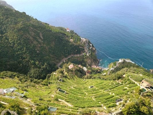 Rarität: Biologisches Weingut an der Amalfiküste - Kampanien