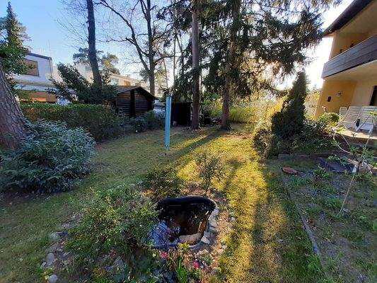 Blick in den Garten