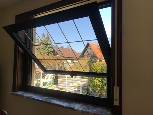 Blumenfenster im Wohnzimmer