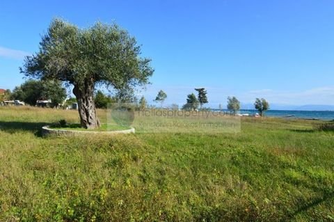 Korfu Grundstücke, Korfu Grundstück kaufen