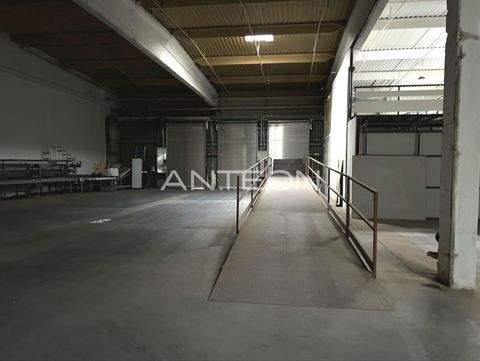 Gelsenkirchen Halle, Gelsenkirchen Hallenfläche