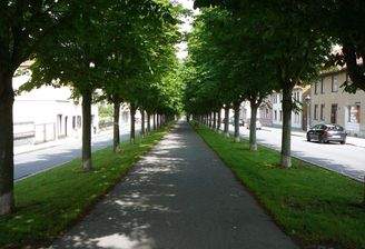 Allee