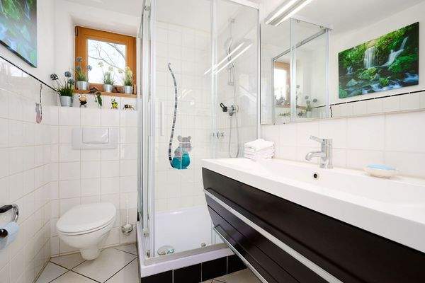 Erdgeschoss Duschbad