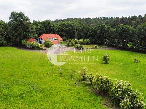 Bienenbüttel / Wichmannsburg Häuser, Bienenbüttel / Wichmannsburg Haus kaufen