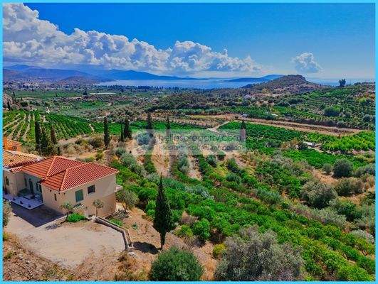 fd7a7b6595a04710950c8f5958a1514b-original