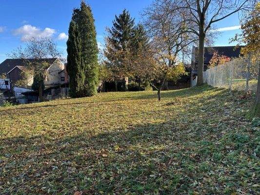 Aussenbereich Garten Hof (1)