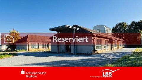 Cunewalde Halle, Cunewalde Hallenfläche