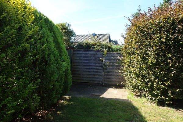 Garten mit Terrasse.JPG