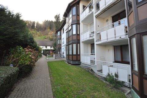 Freiburg Wohnungen, Freiburg Wohnung kaufen