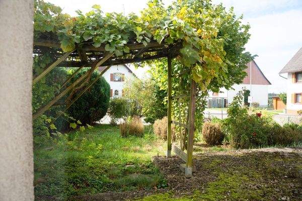 Blick min den Garten