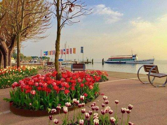 FullSizeRender copia 2.jpg