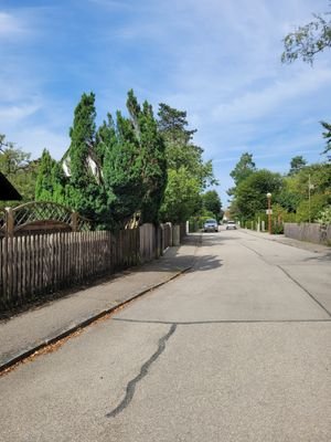 sehr ruhige Strasse