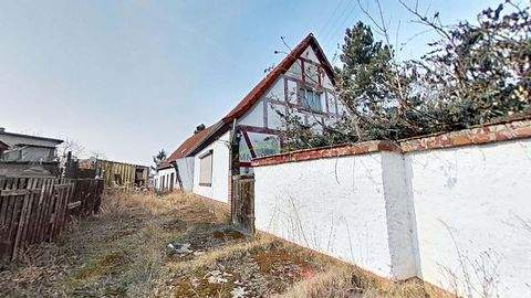 Bad Düben Häuser, Bad Düben Haus kaufen
