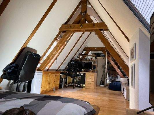 Zimmmer Dachspitz2