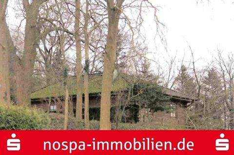 Dannewerk Häuser, Dannewerk Haus kaufen