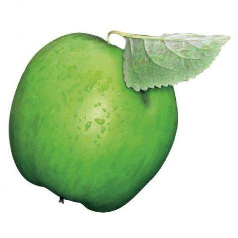 Bayreuth Wohnungen, Bayreuth Wohnung kaufen