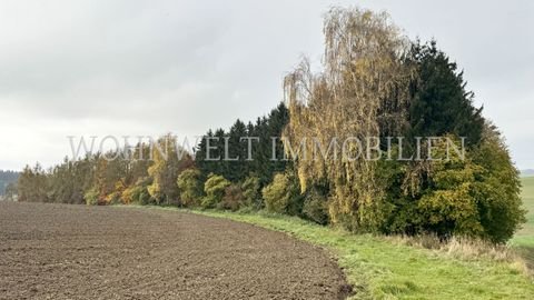 Langenbach Bauernhöfe, Landwirtschaft, Langenbach Forstwirtschaft