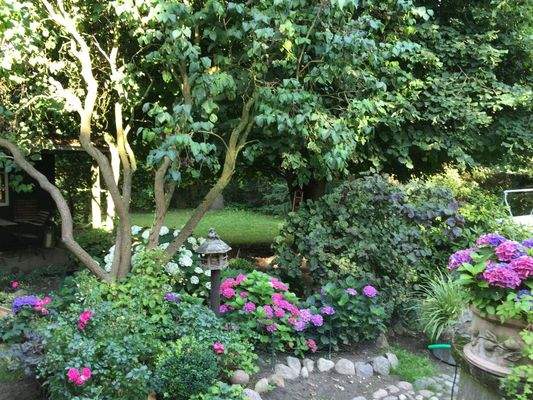 idyllischer Gartenbereich