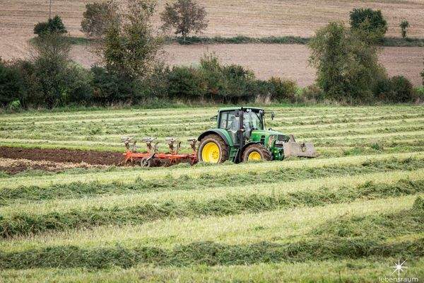Wiese Moosburg zum Verkauf